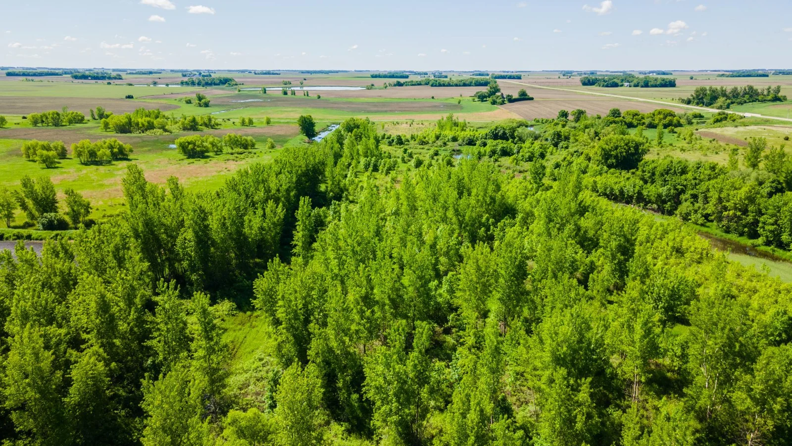 DJI_0463.jpg