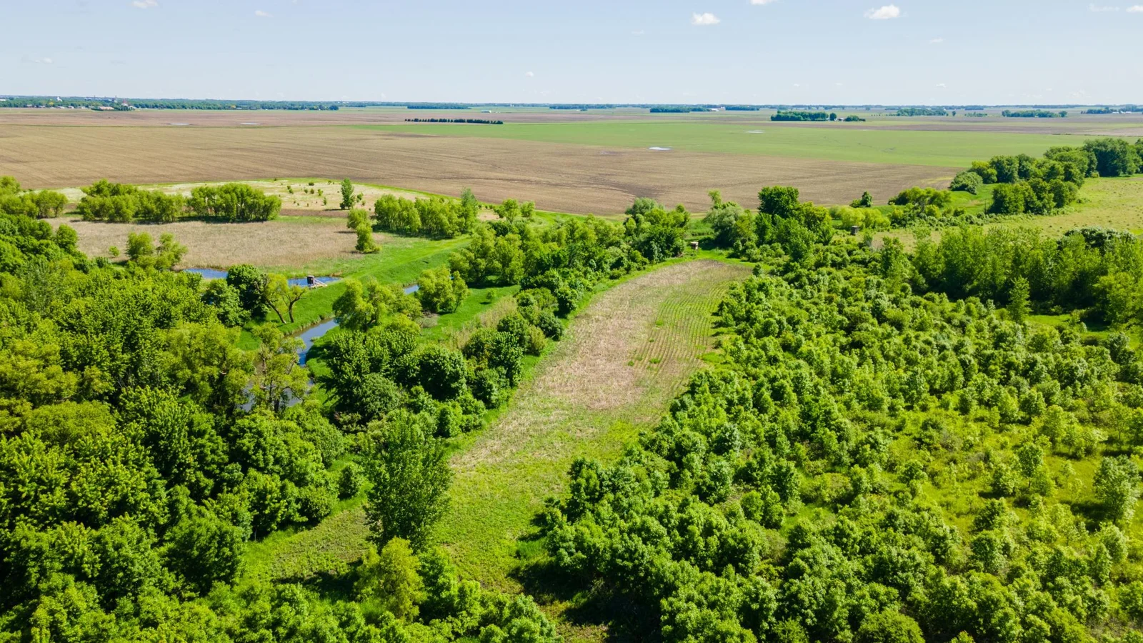 DJI_0440.jpg
