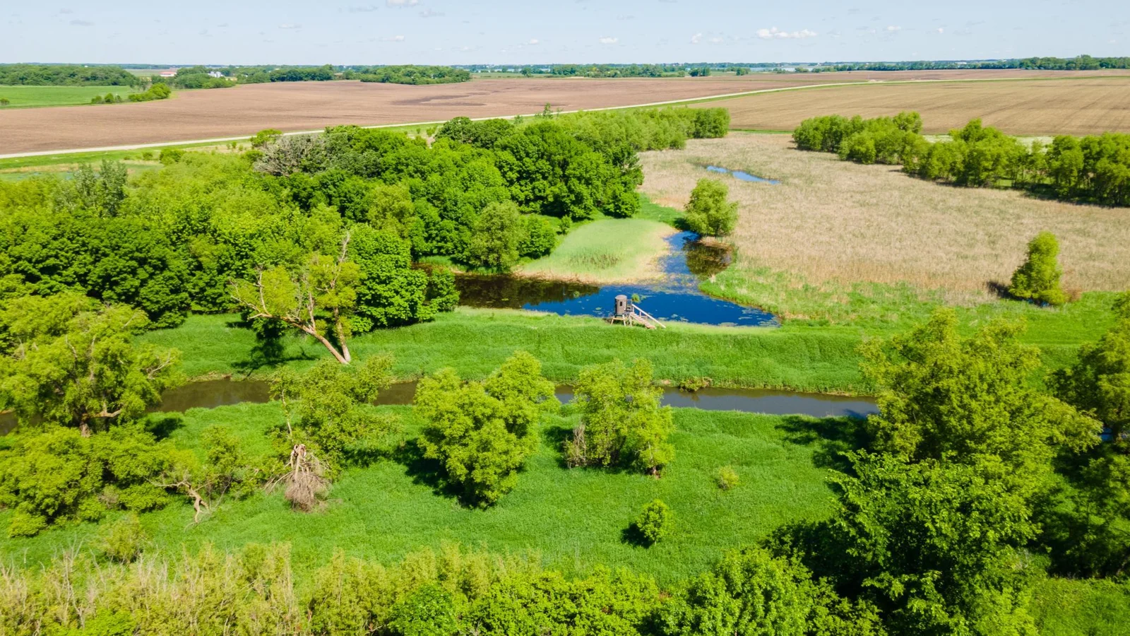 DJI_0441.jpg
