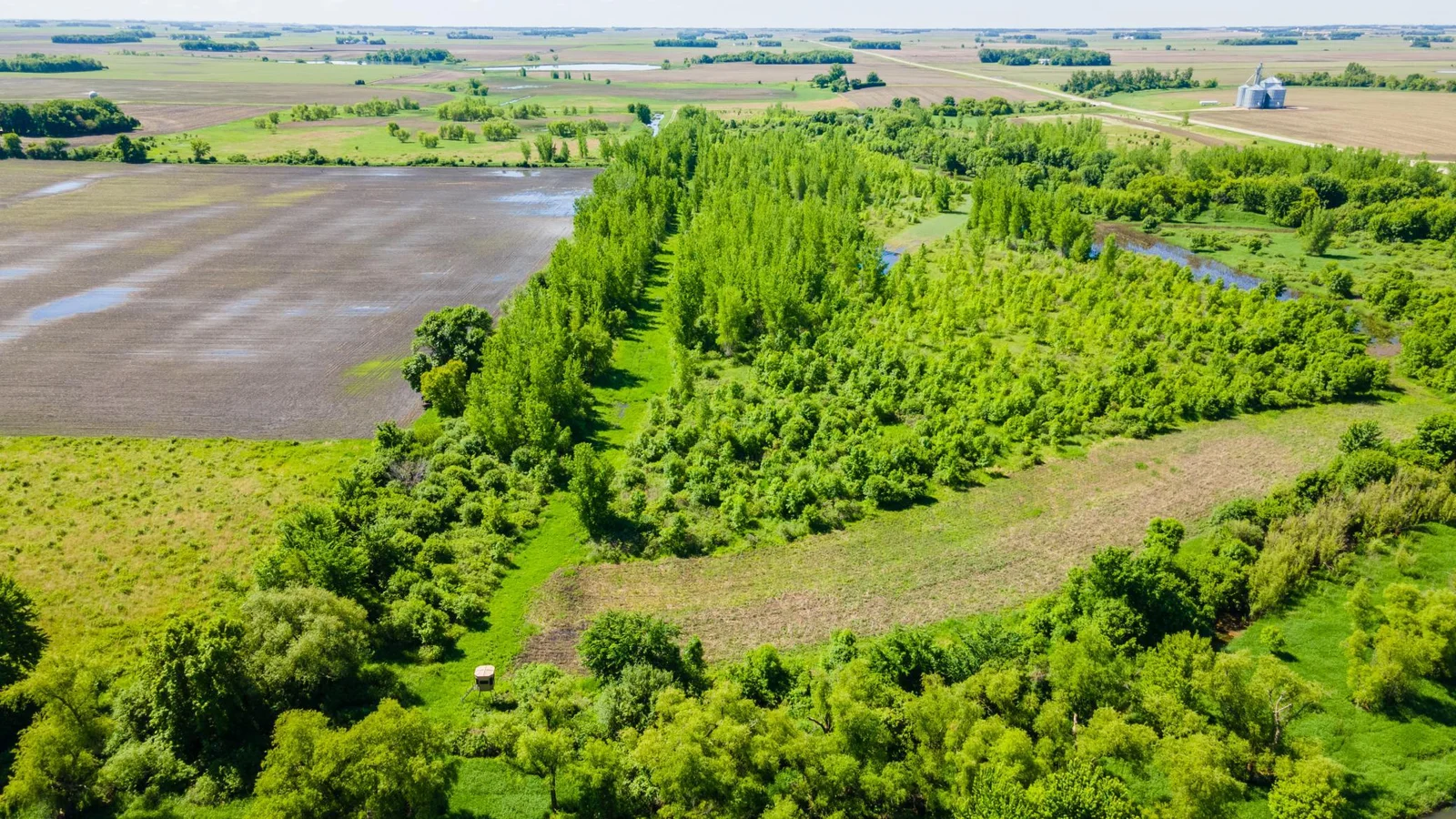 DJI_0453.jpg