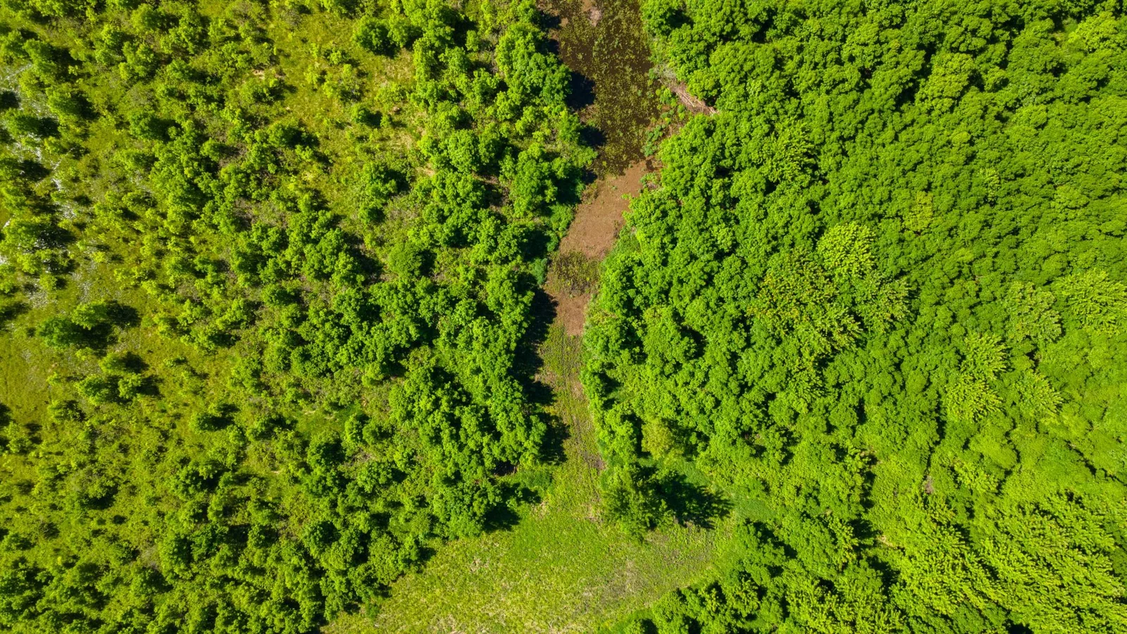 DJI_0460.jpg