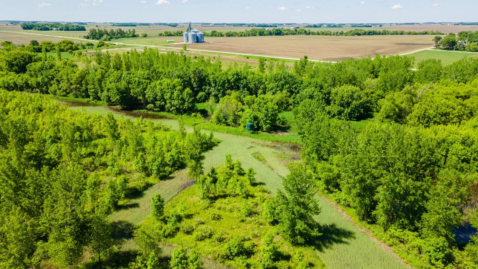 DJI_0462.jpg