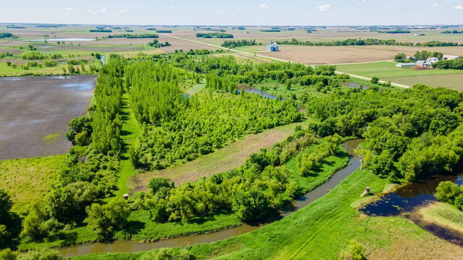 DJI_0451.jpg