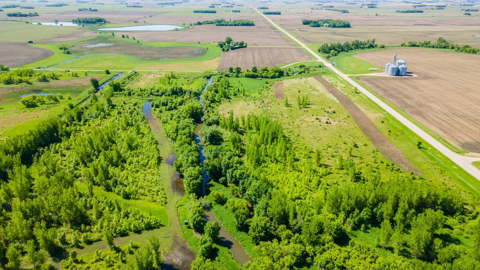 DJI_0436.jpg