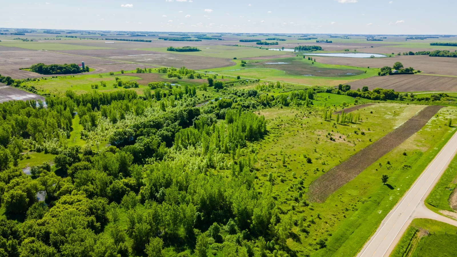 DJI_0433.jpg