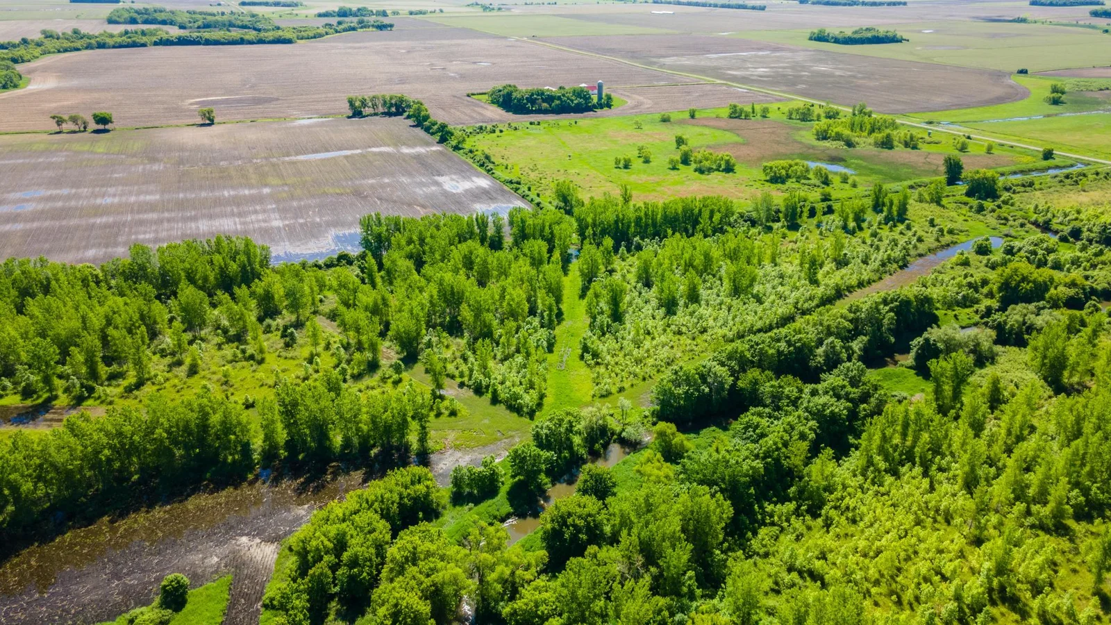 DJI_0434.jpg