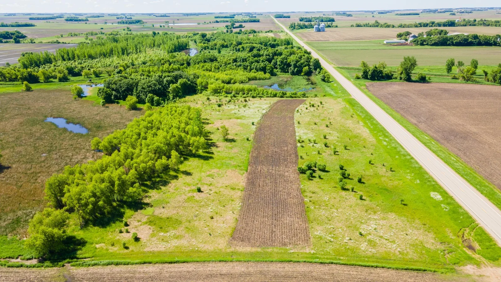 DJI_0447.jpg