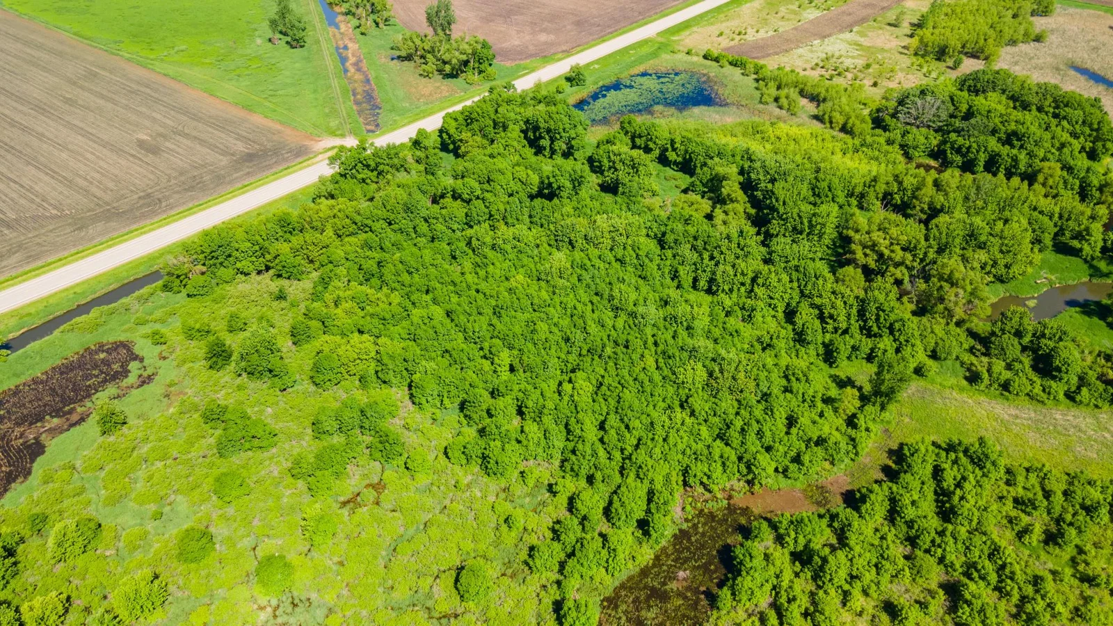 DJI_0438.jpg