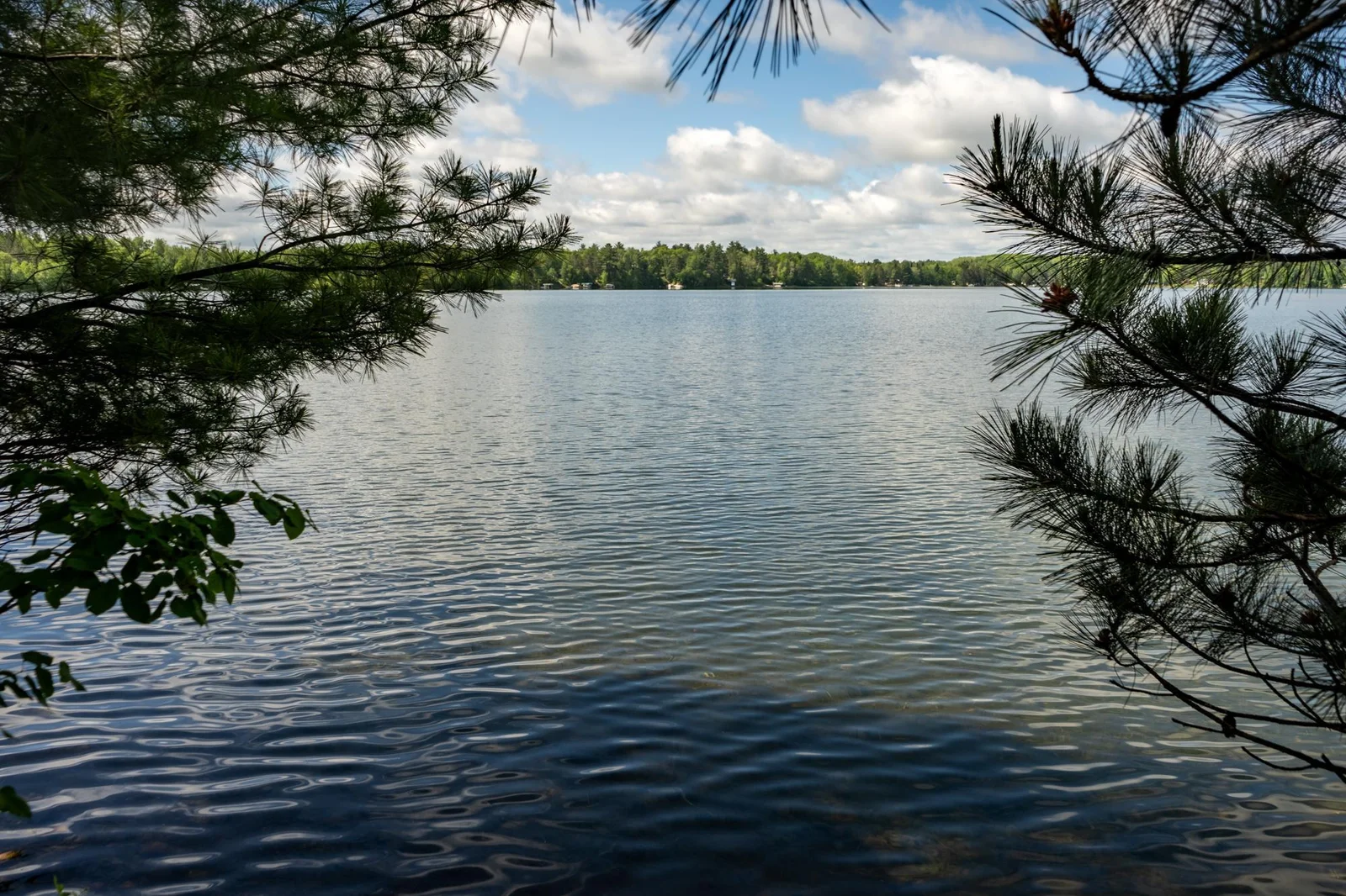 779 32nd Ave Sanborn Lake Backus-21.jpg