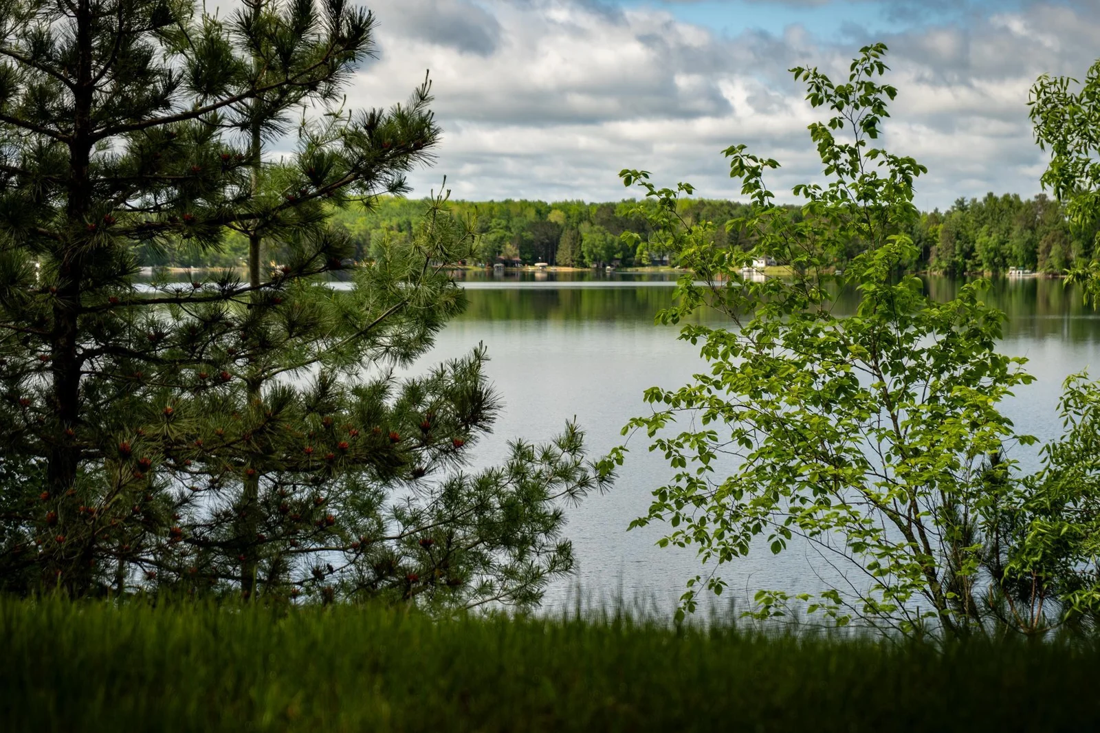 Peer out over Sanborn Lake from this beautiful vantage point.