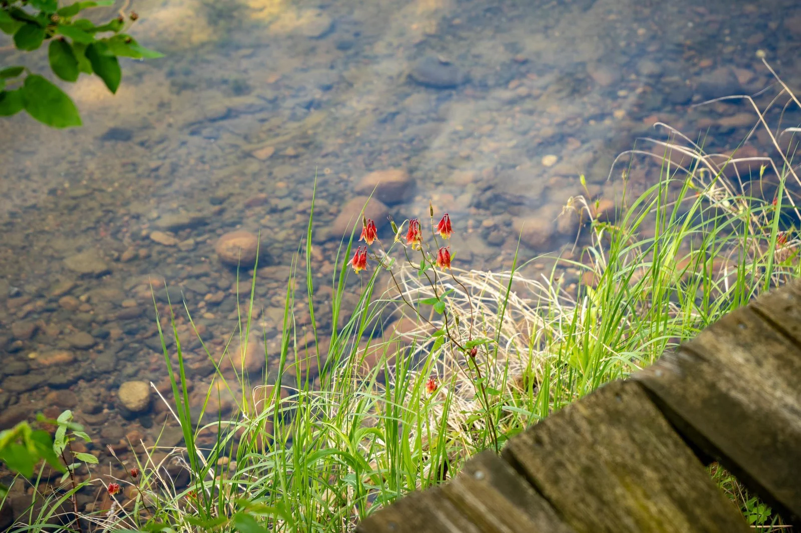 779 32nd Ave Sanborn Lake Backus-25.jpg
