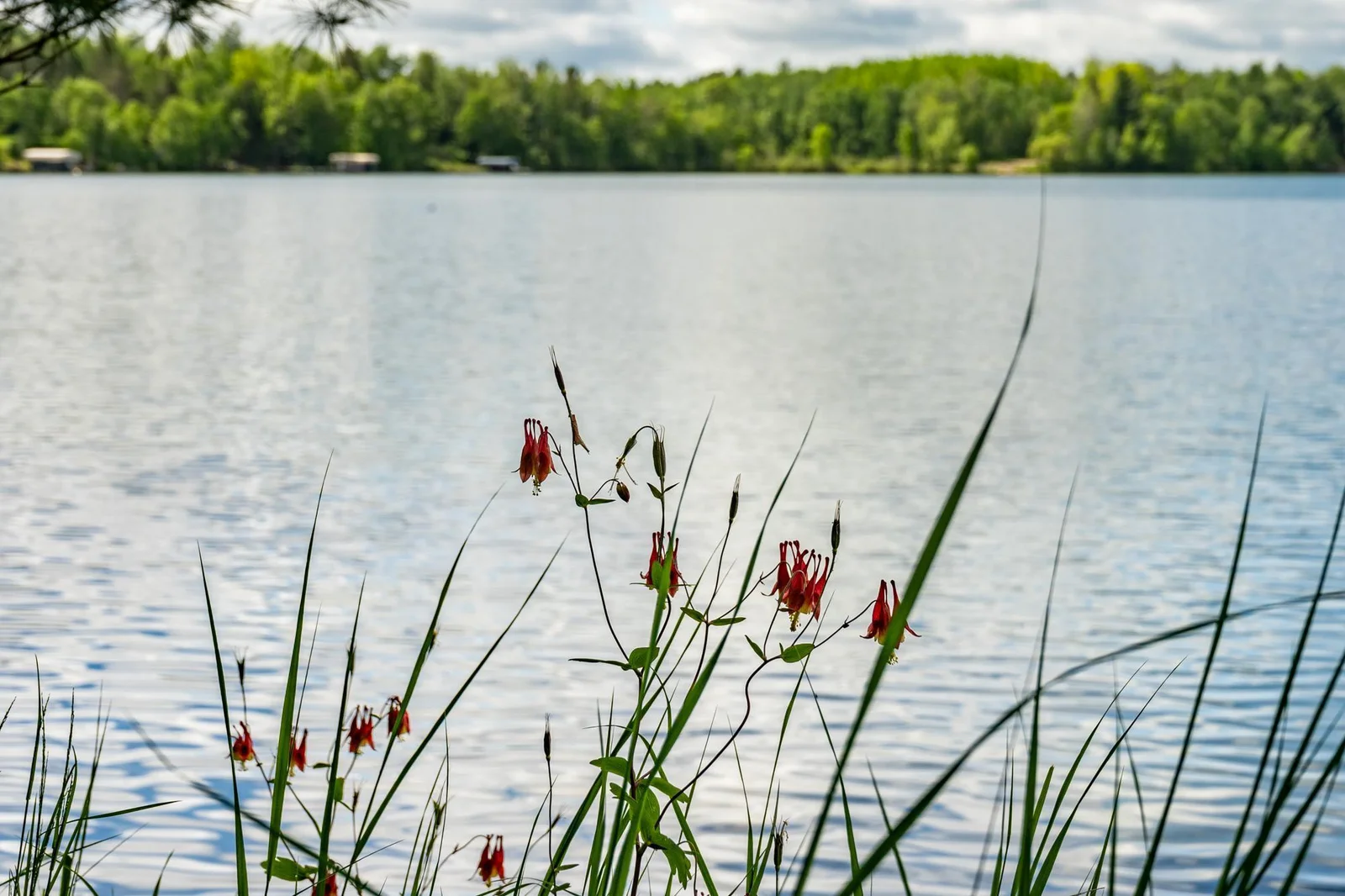 779 32nd Ave Sanborn Lake Backus-22.jpg