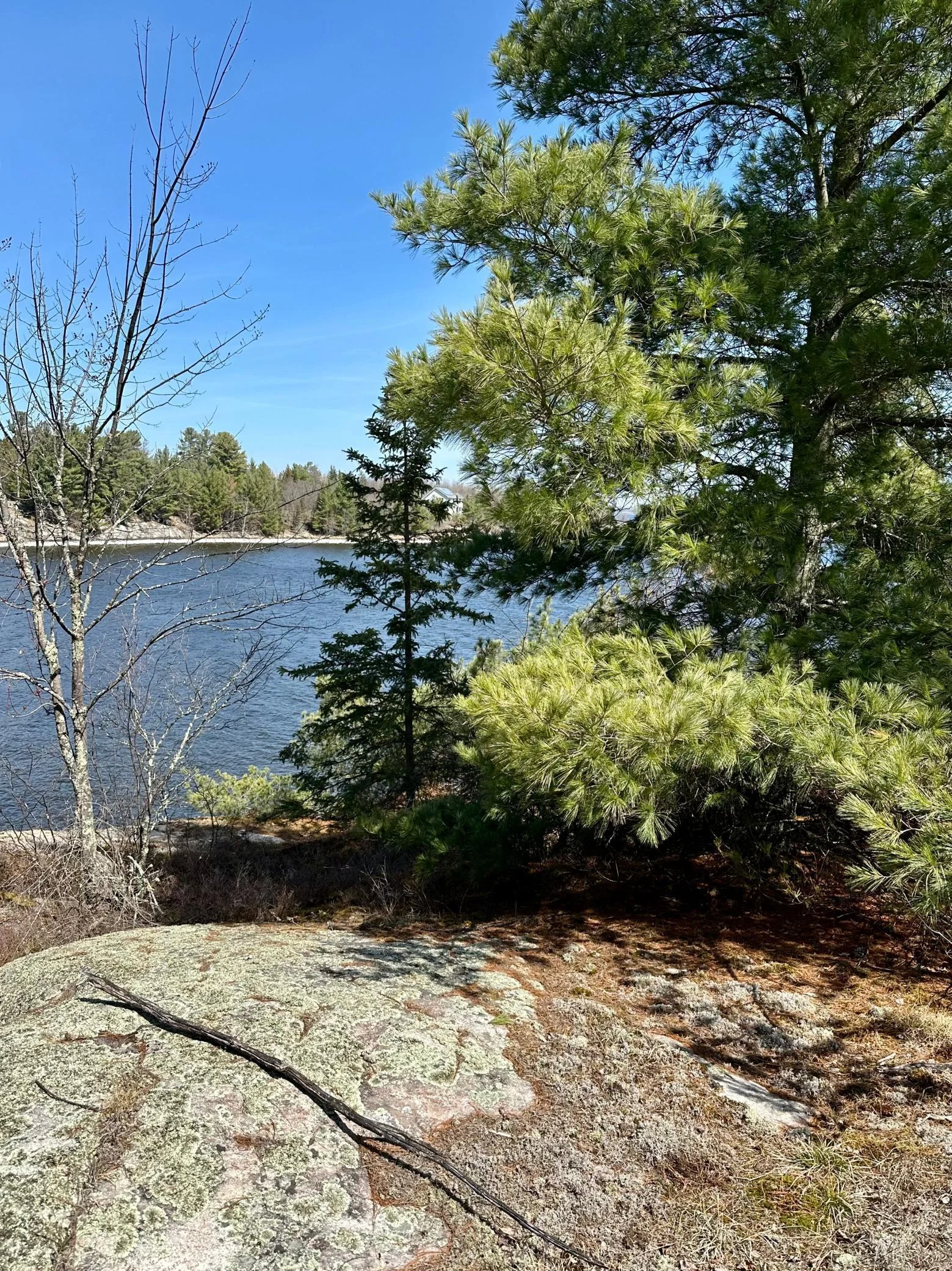 Photo 1 of Kabetogama Lake