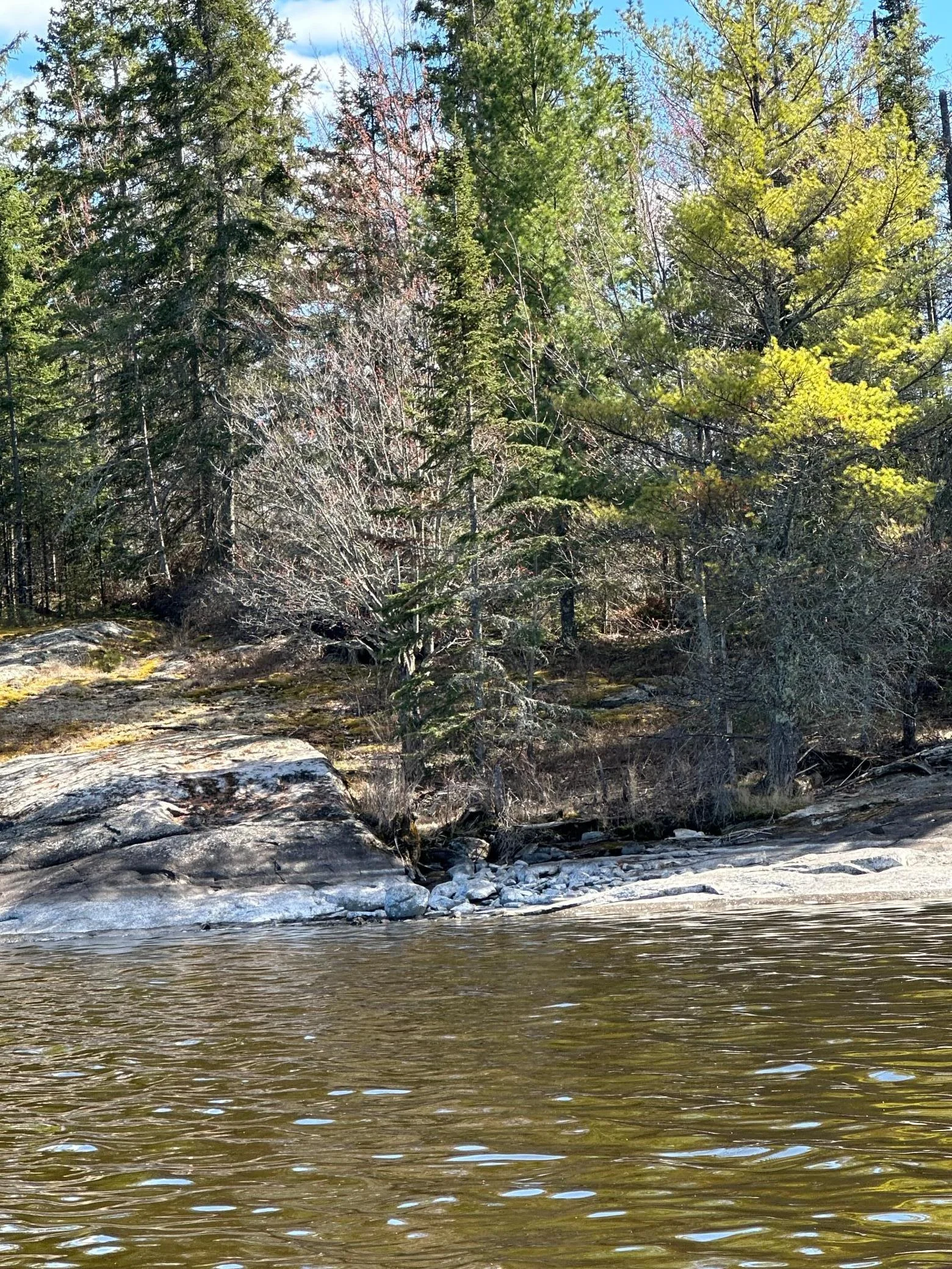 IMG_0645.jpeg