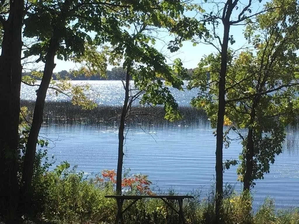 Gorgeous View of Lake Francis from Wagner Bay.jpg