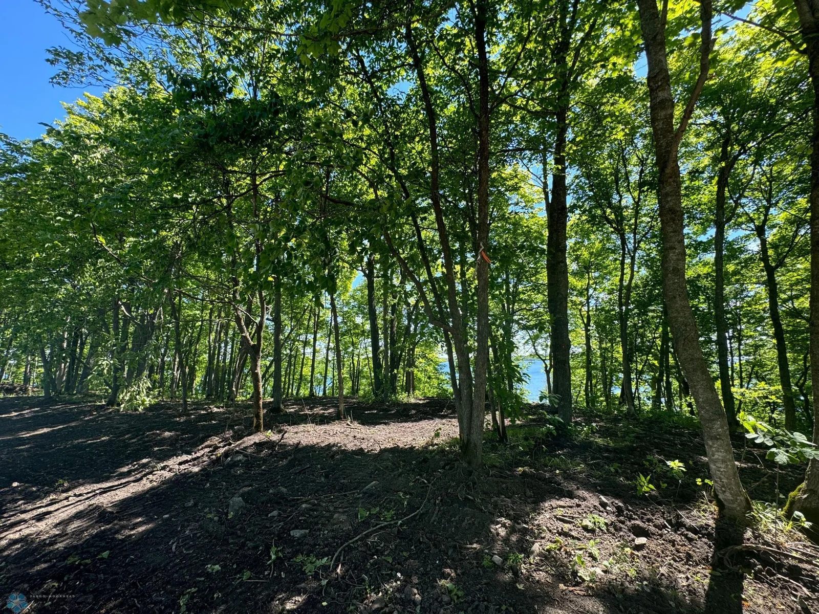Views to Lake