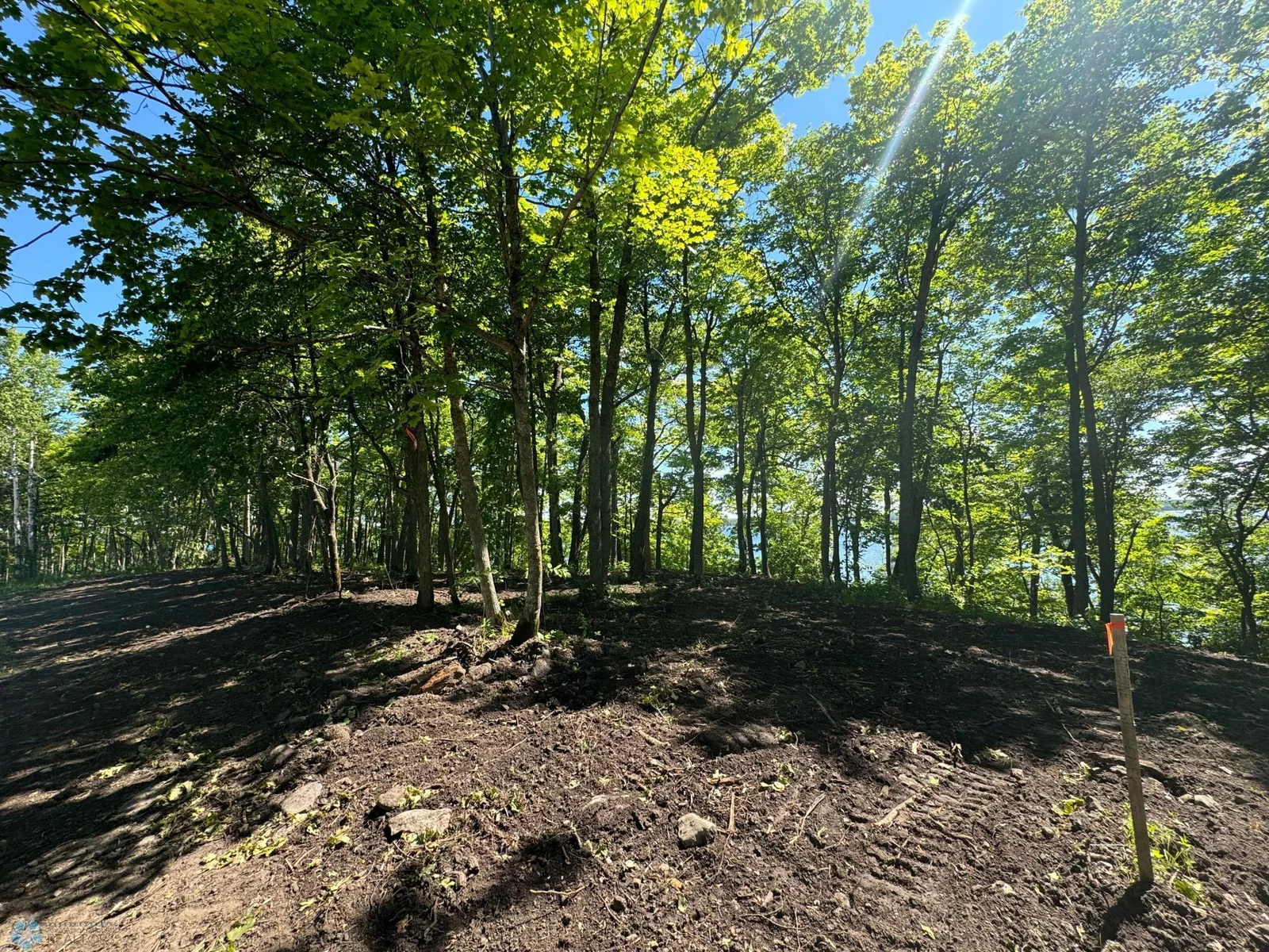 Cleared Area!