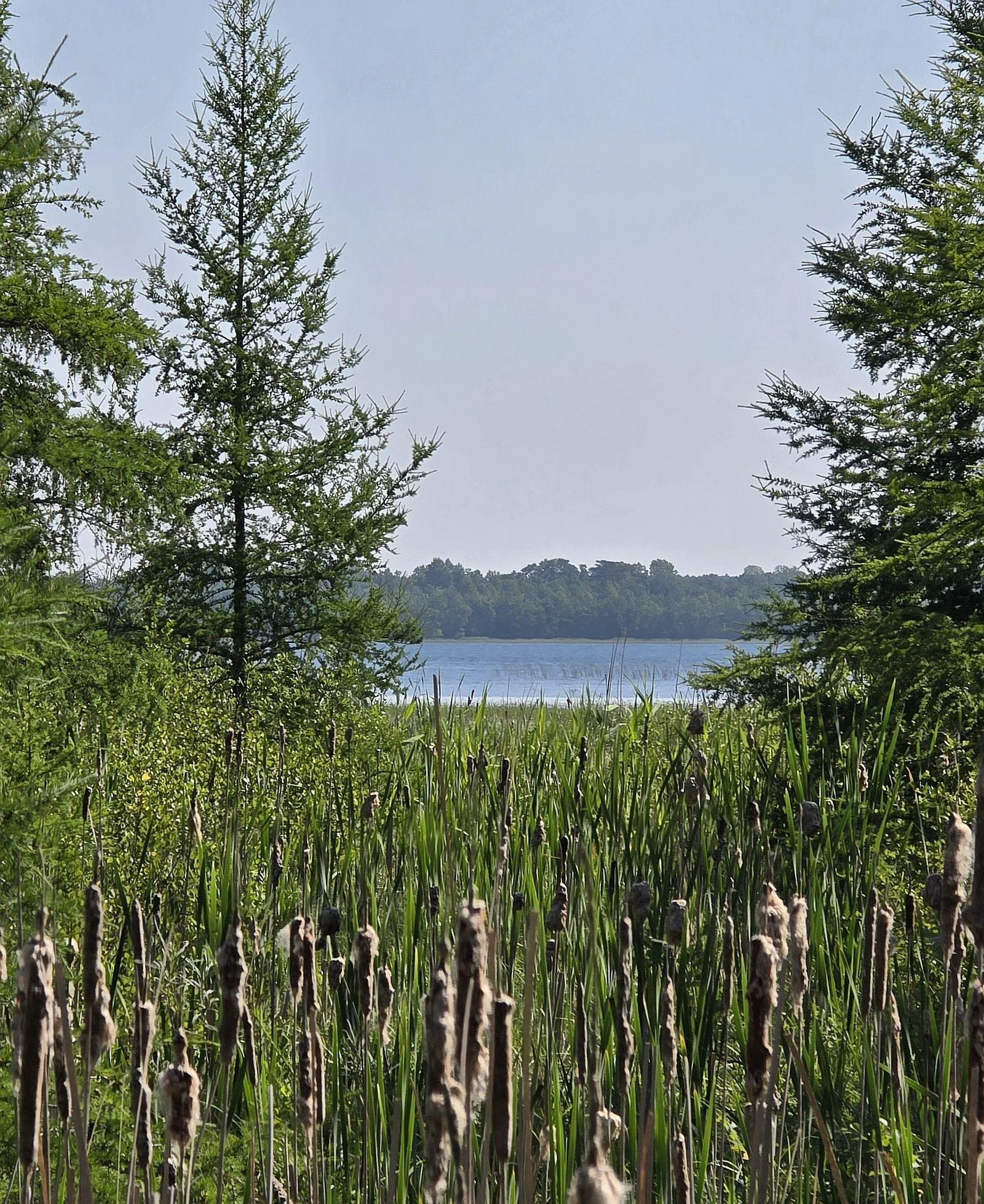 Big Lake.jpg