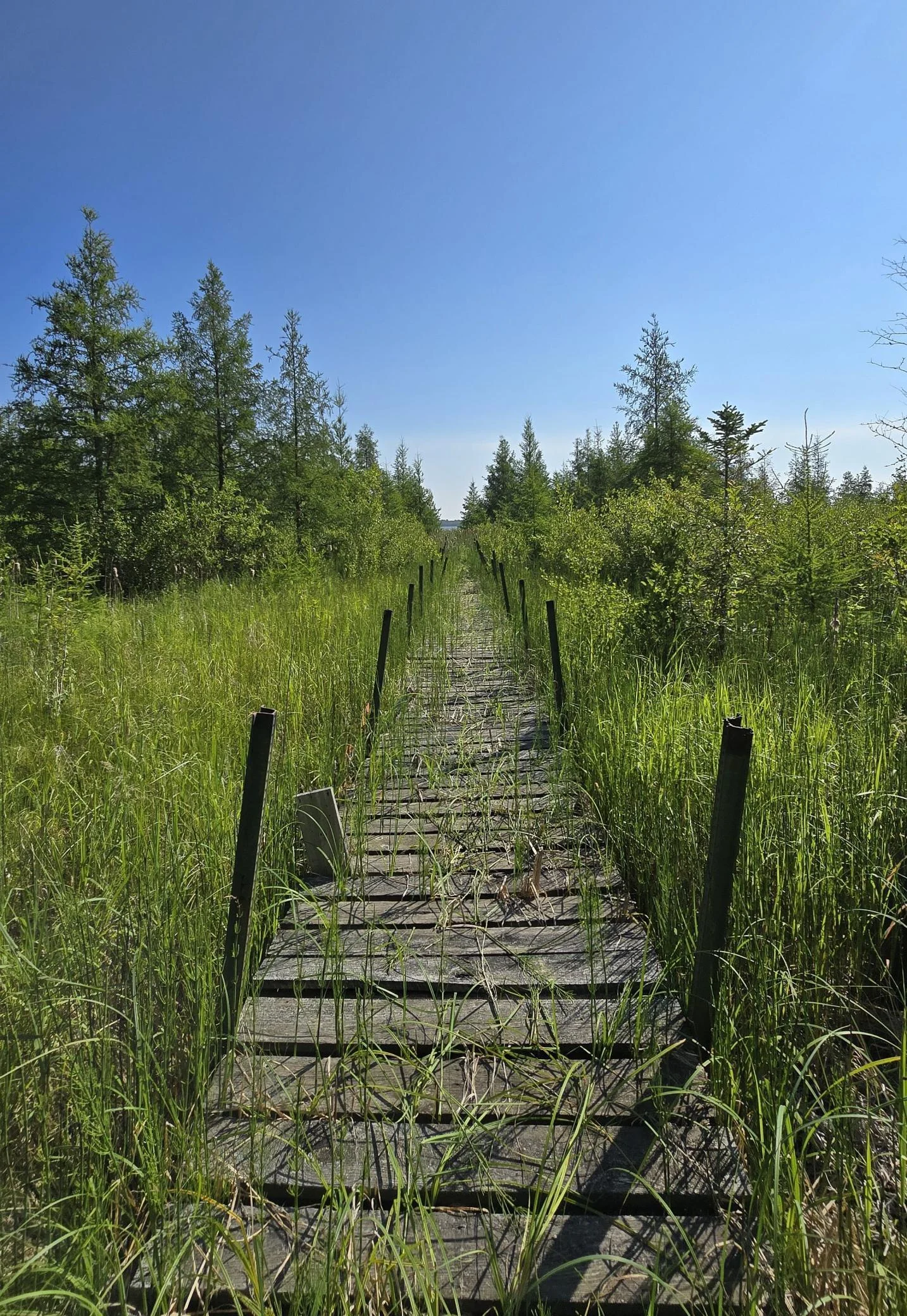 boardwalk.jpg