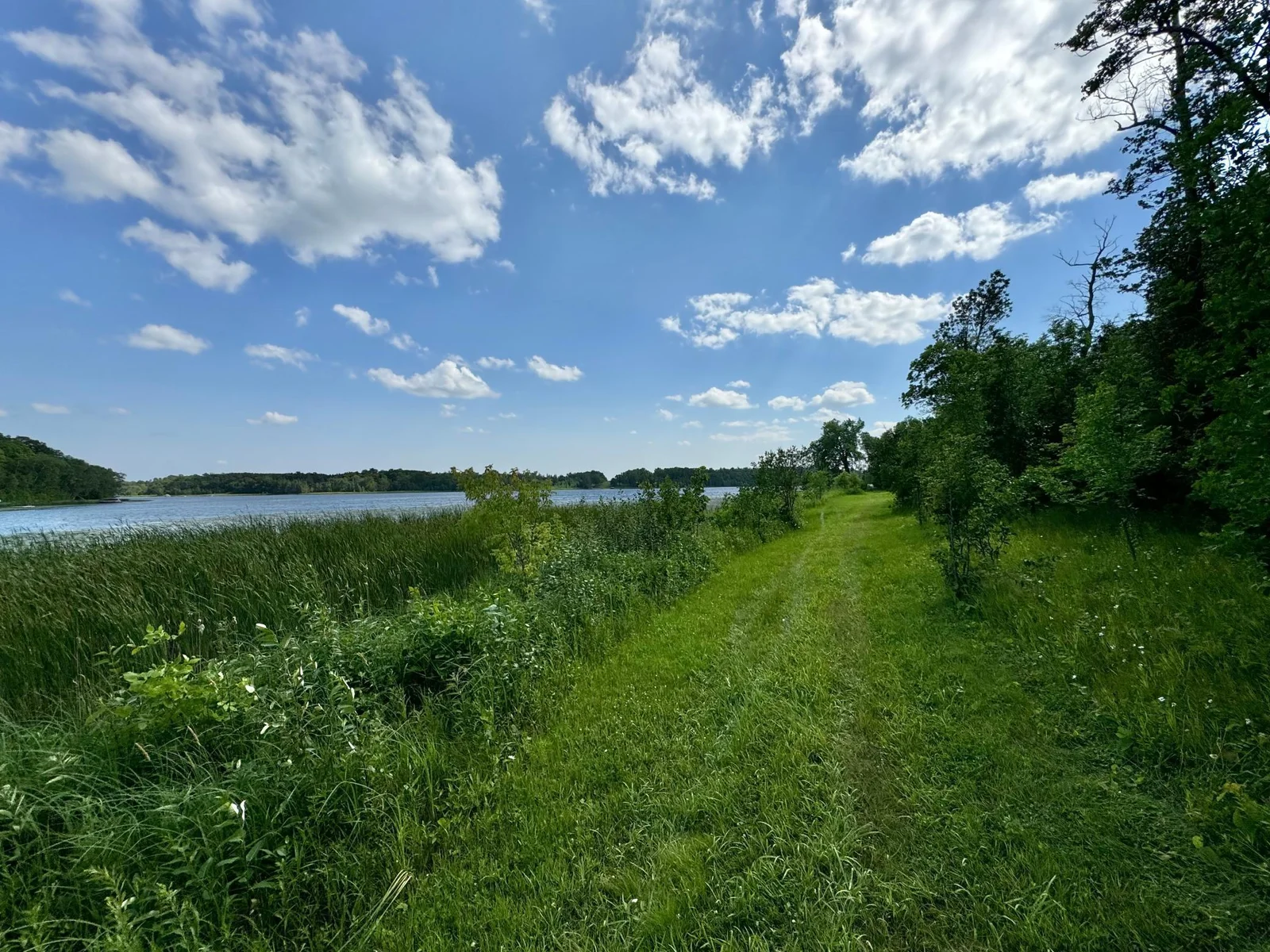 Photo 1 of 290 Buffalo Lake Rd E