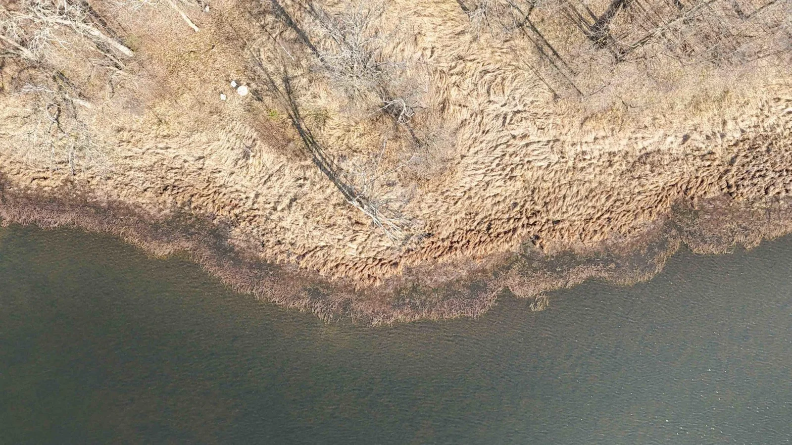 Aerial Shoreline