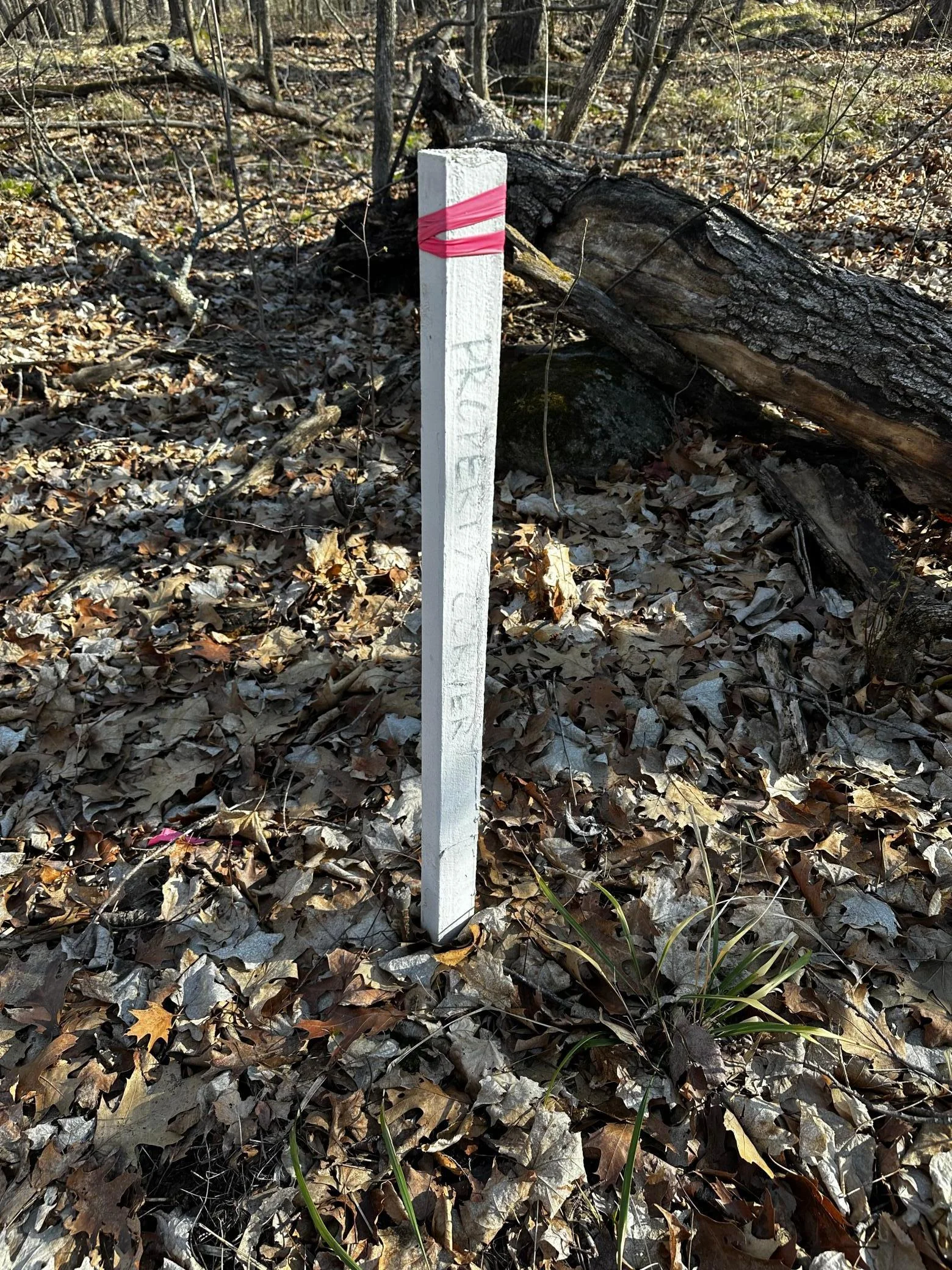 Corners Marked
