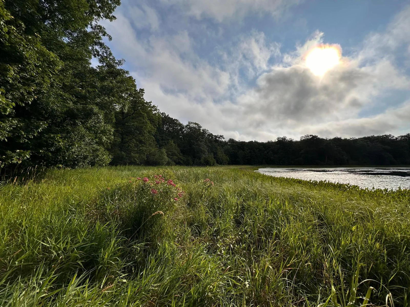 North Shoreline.jpg