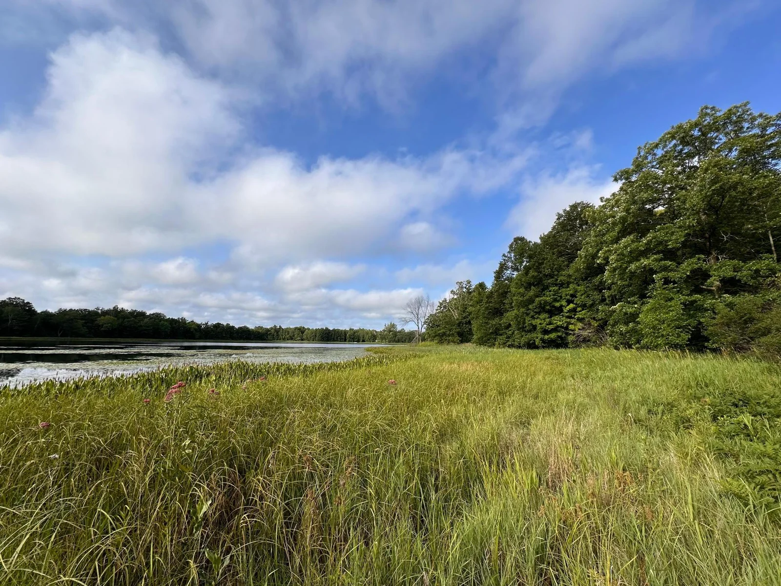 South Shoreline.jpg