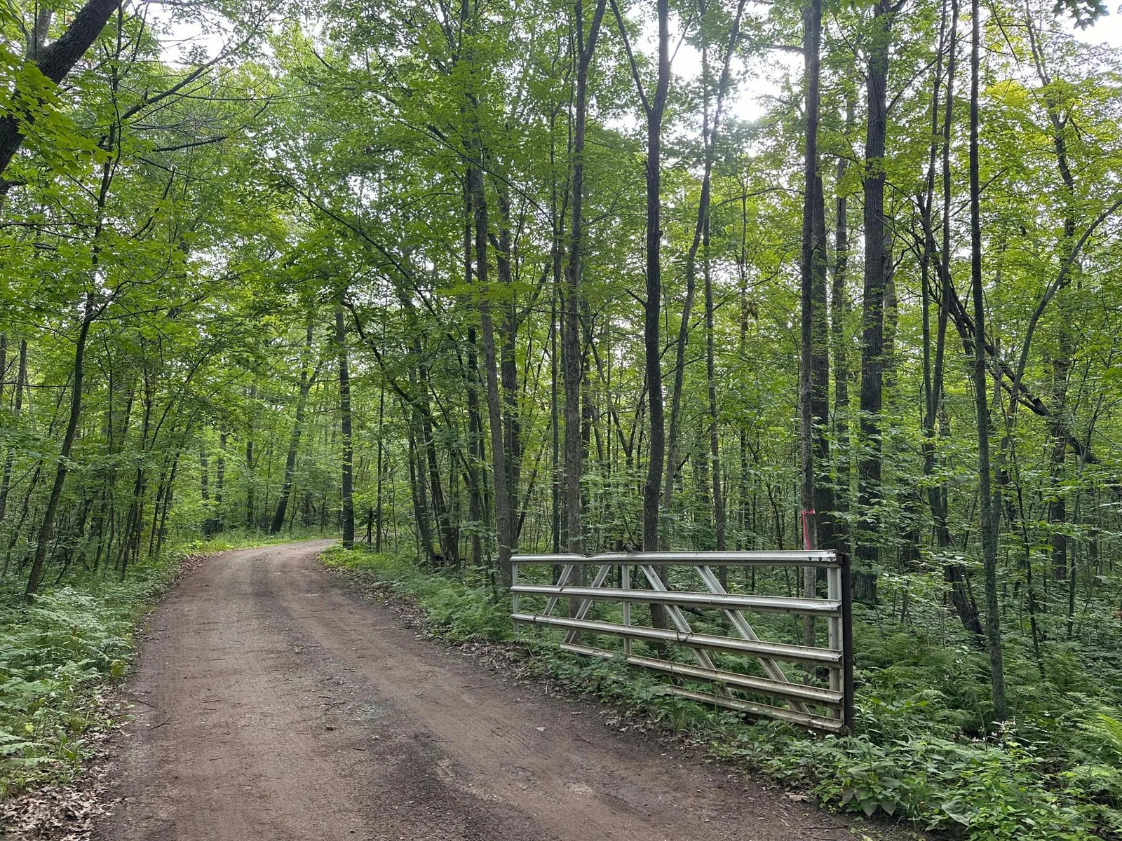 Wilson Lake Drive - East.jpg