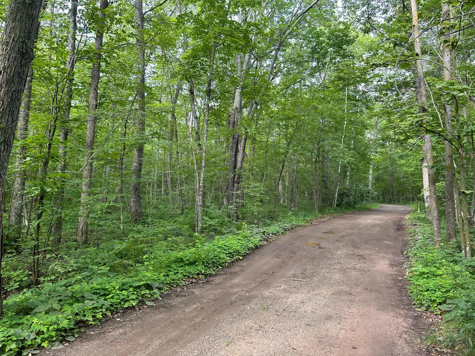 Wilson Lake Drive - West.jpg