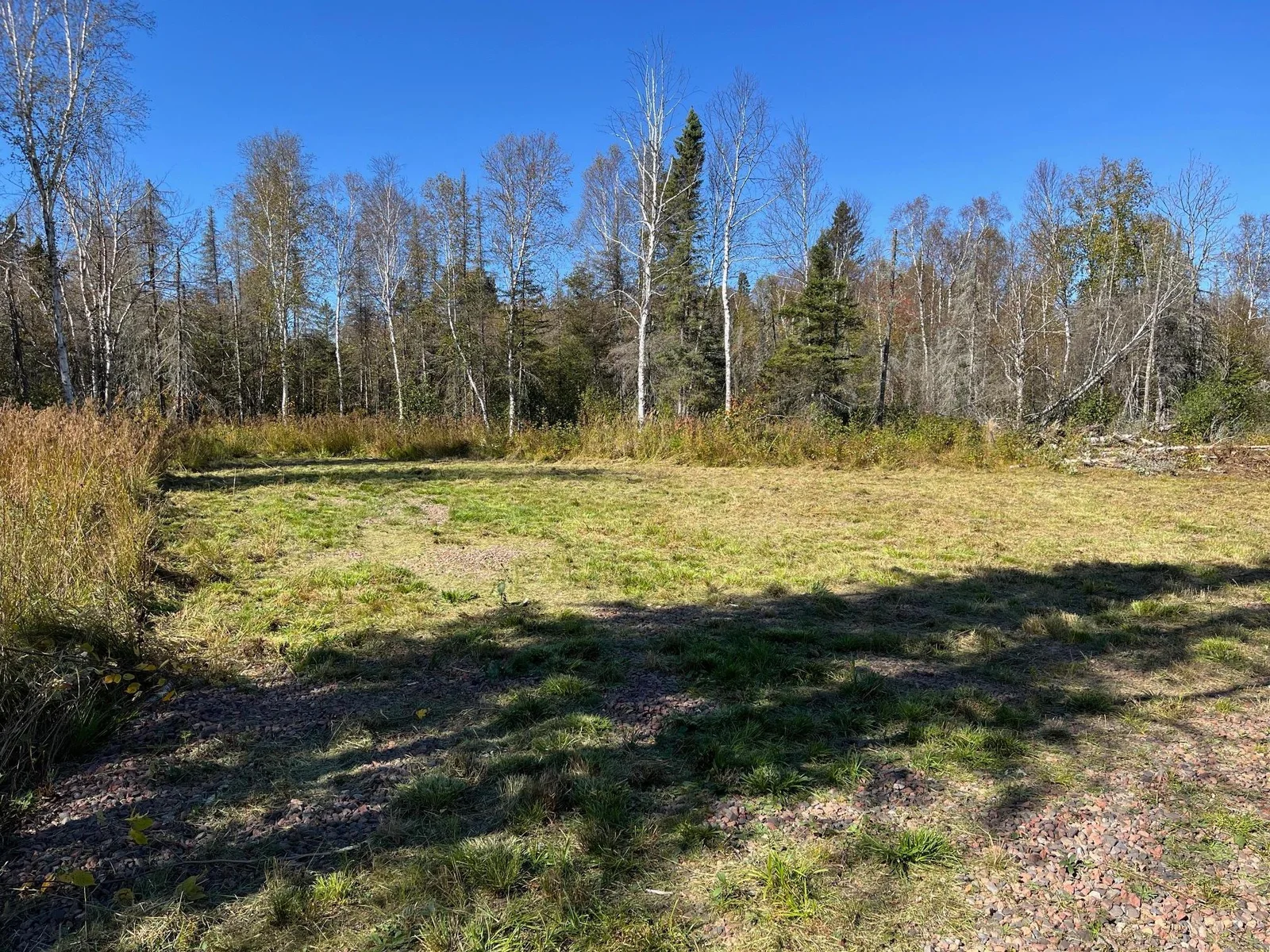 Freshly cleared mowed area