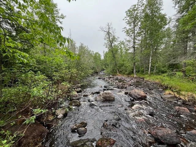 Creek running through property