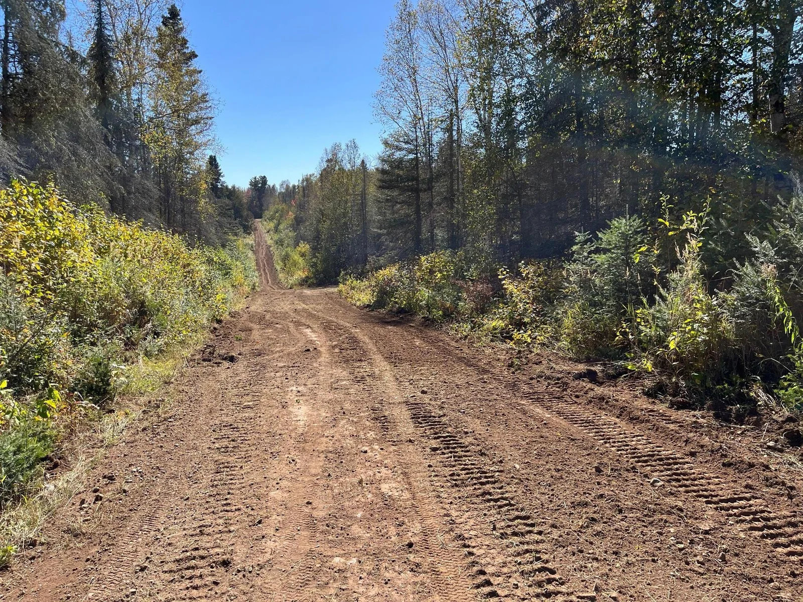 Nice road going to property