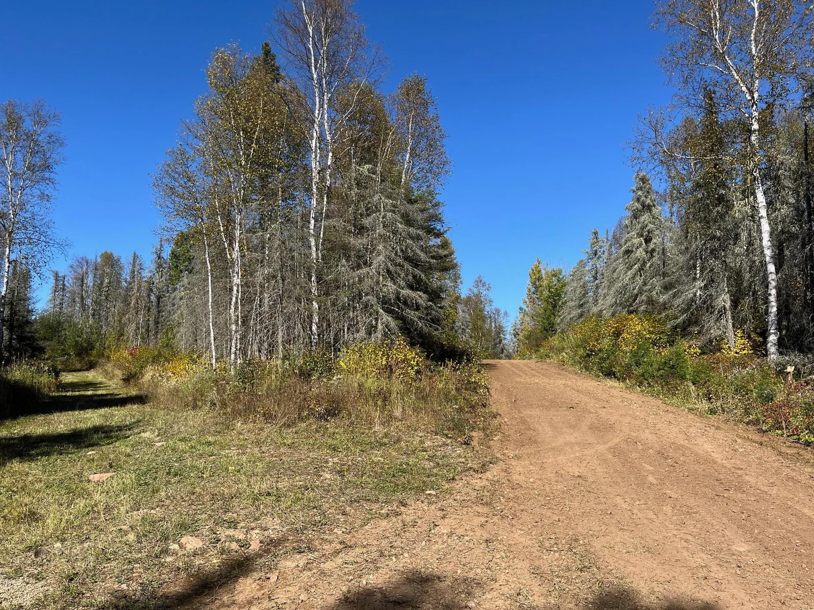 Optional horse shoe / turn around in driveway