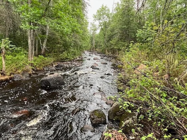Creek Running through property