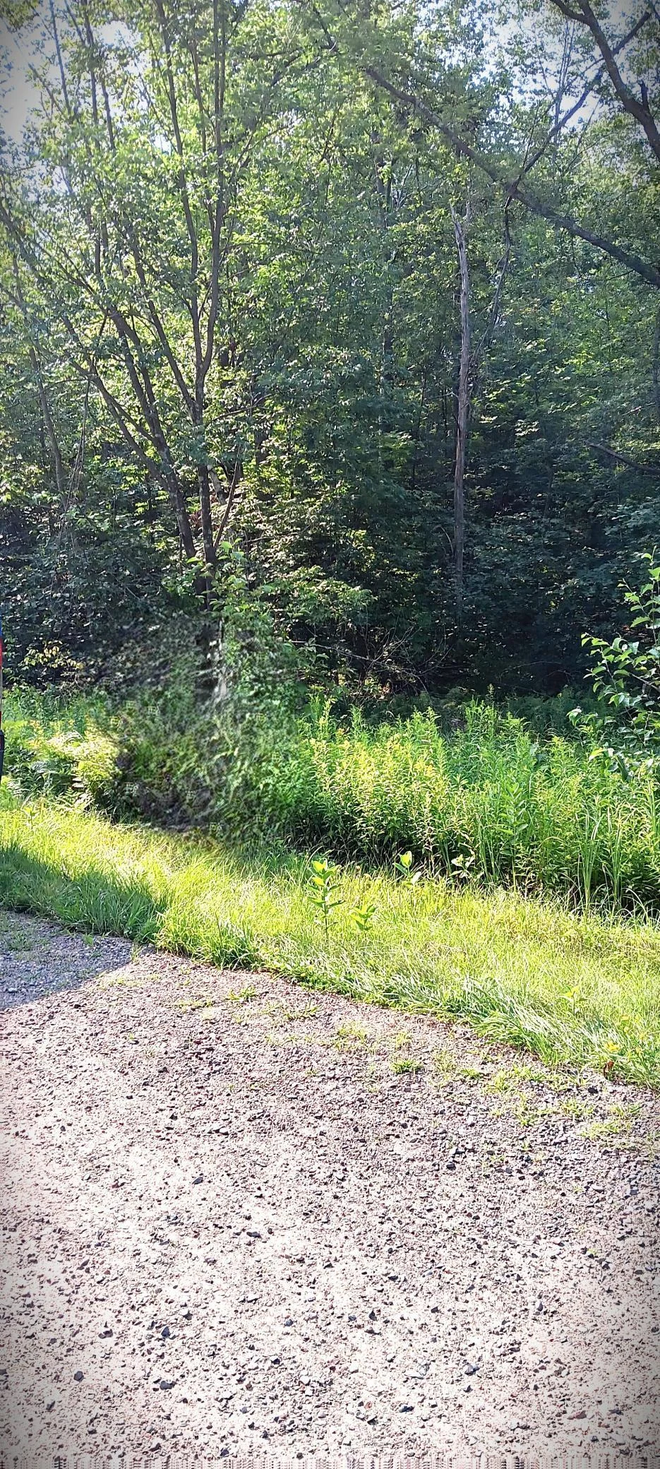 20240730_095952.jpg