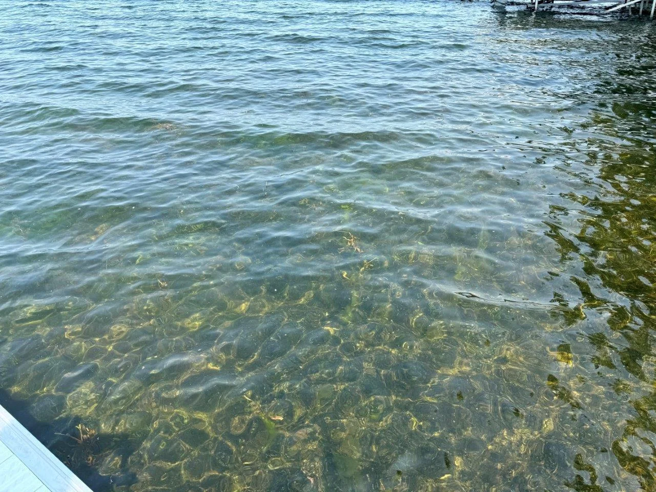 3-Good swimming.jpg