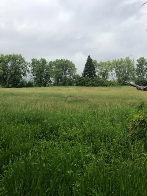 IMG_20240805_083024.jpg