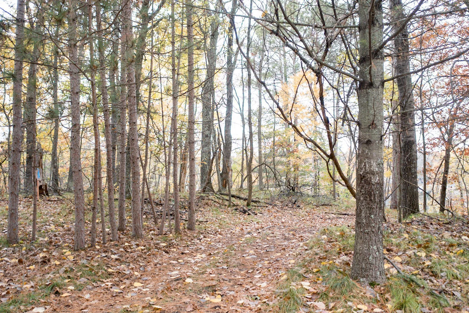 Thumbnail photo 9