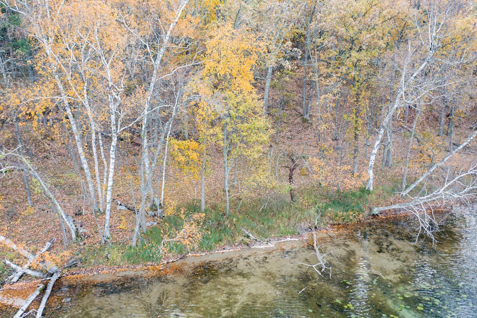 Thumbnail photo 7
