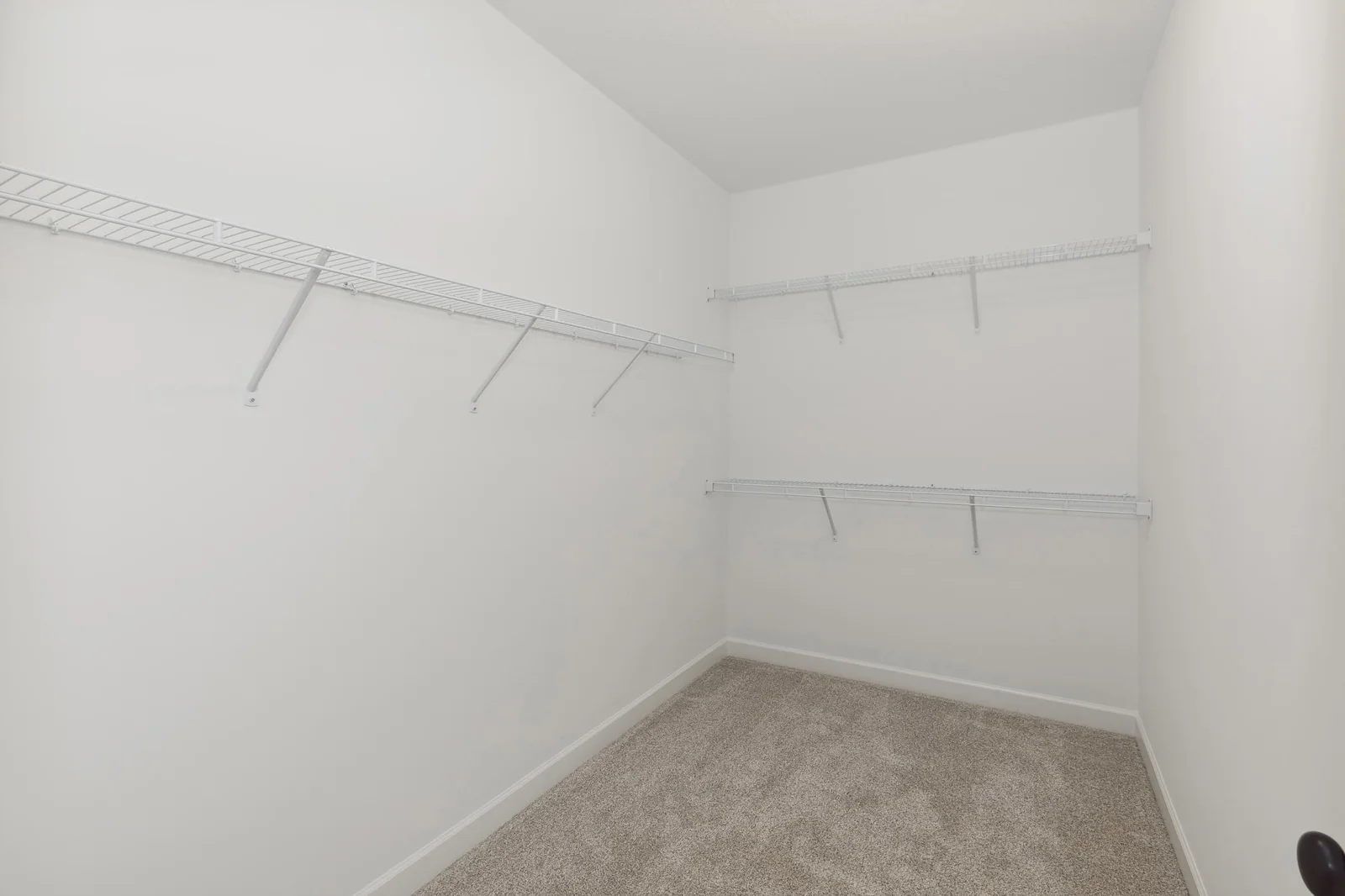 Master Walk in Closet