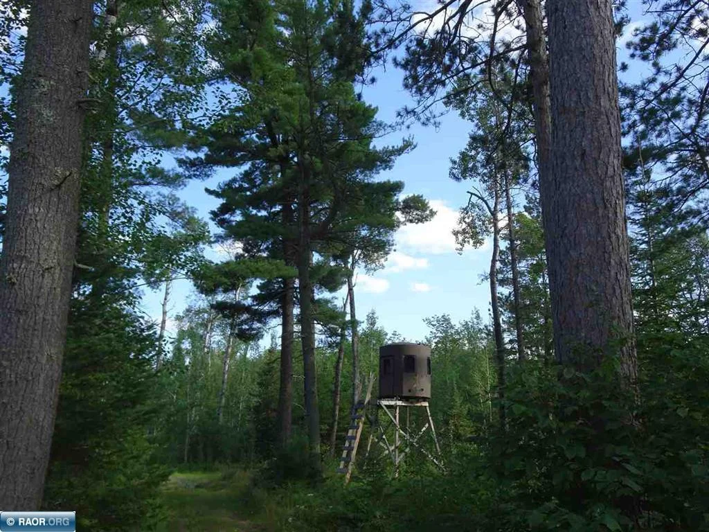 Deer Stand
