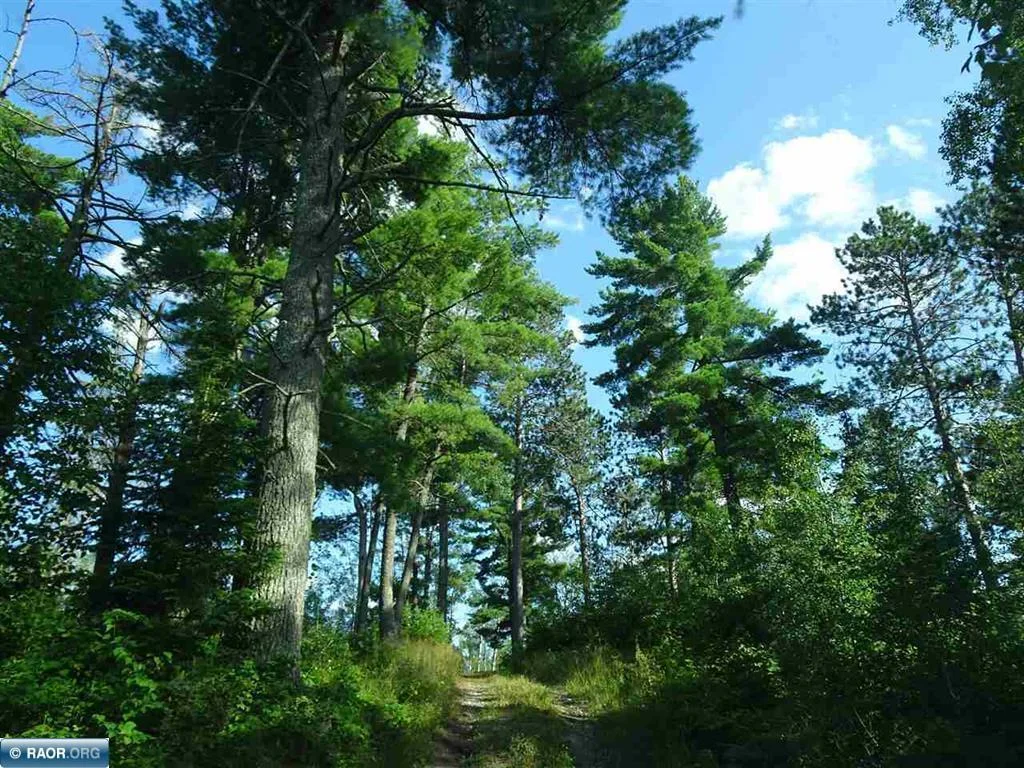 Thumbnail photo 23
