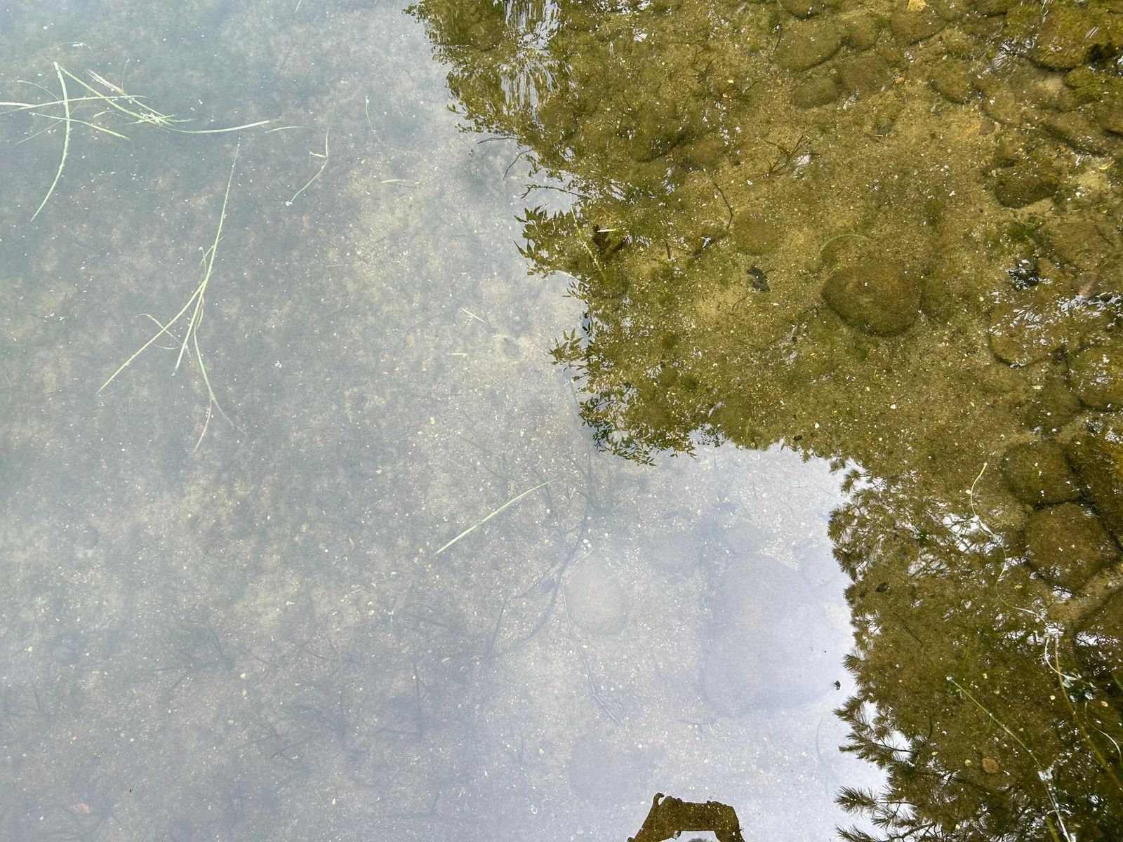 Clear Water.jpg