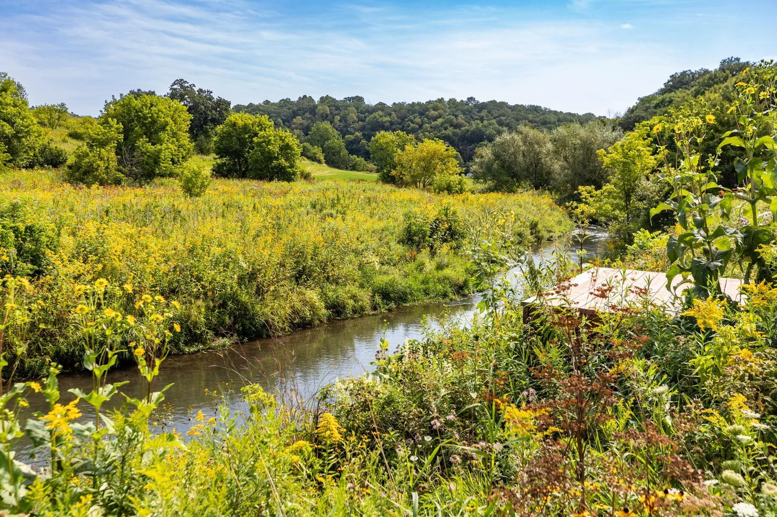 22-web-or-mls-31-Acreage.jpg