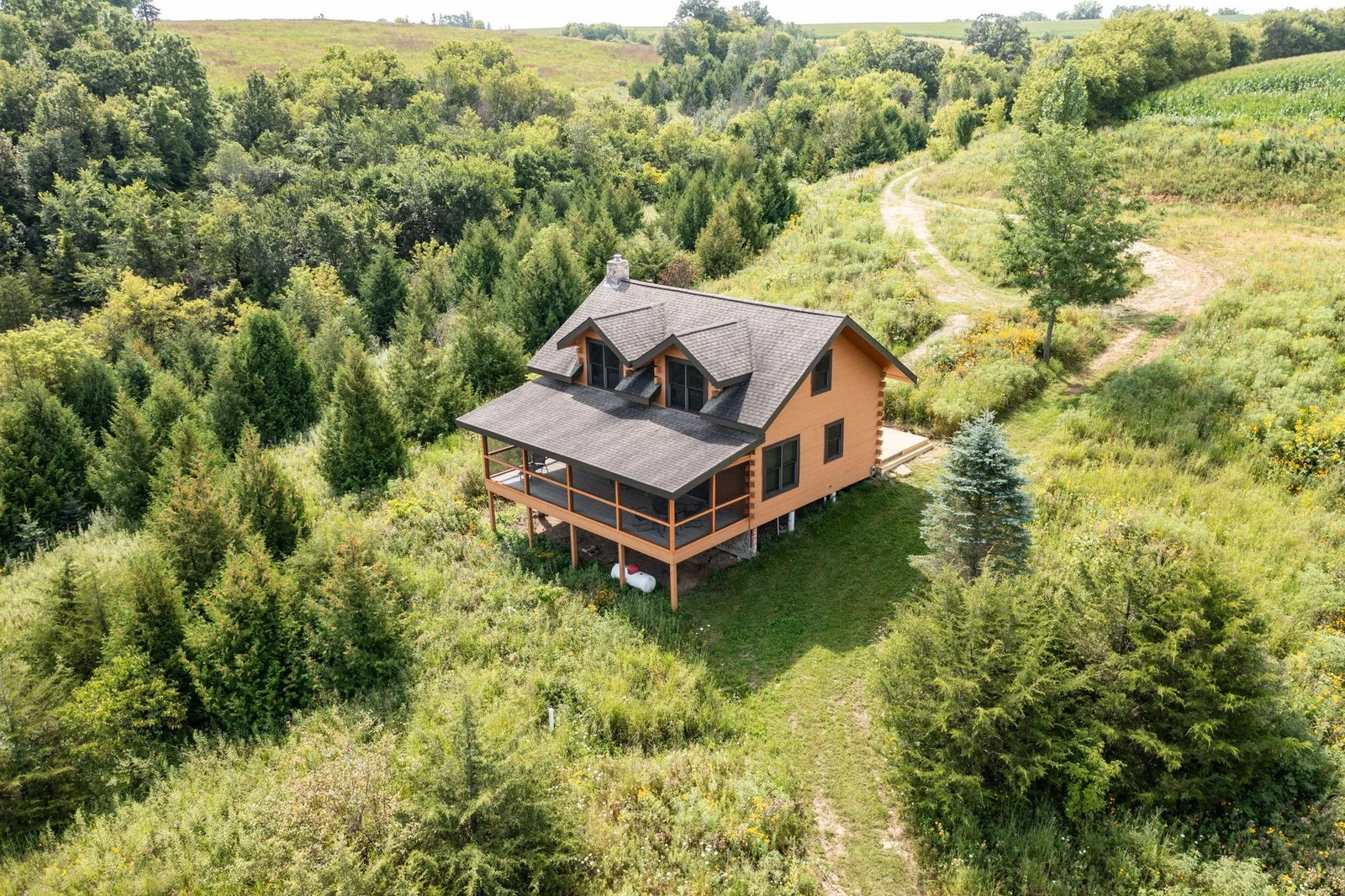 31-web-or-mls-33-Aerial View.jpg