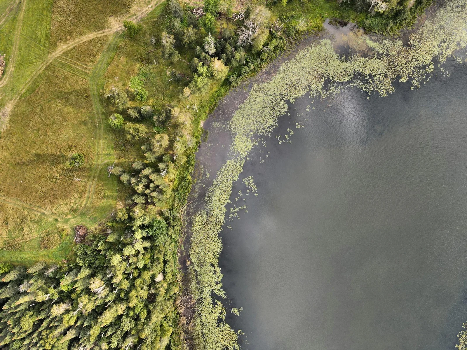 Lots Aerial Shoreline