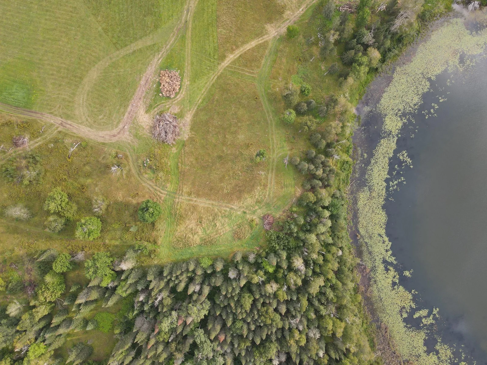 LOT C AERIAL SHORE