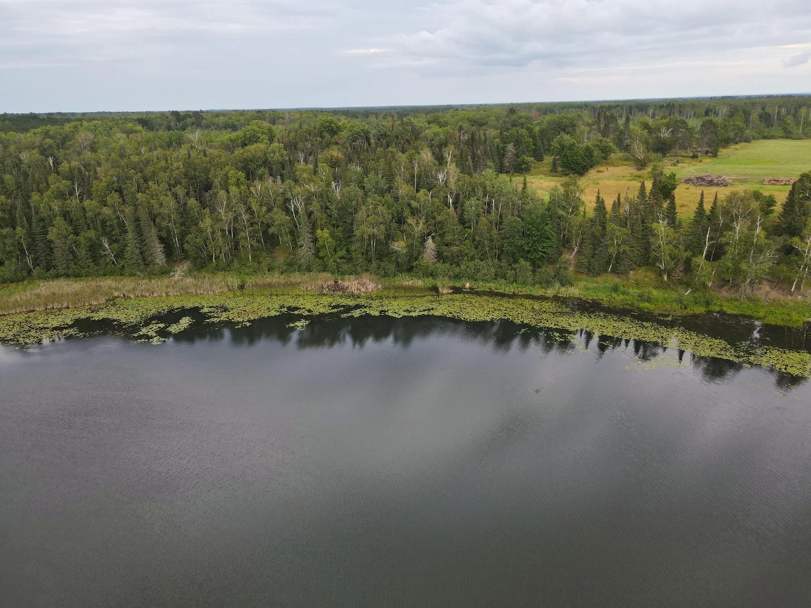 LOT D SHORELINE