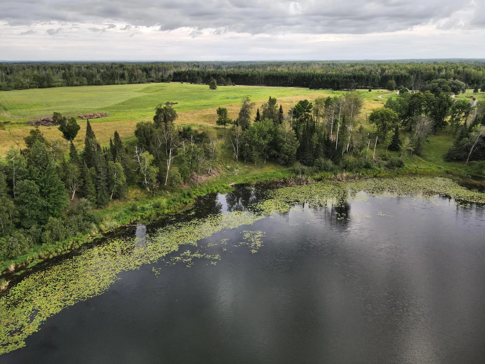 Shoreline Lots